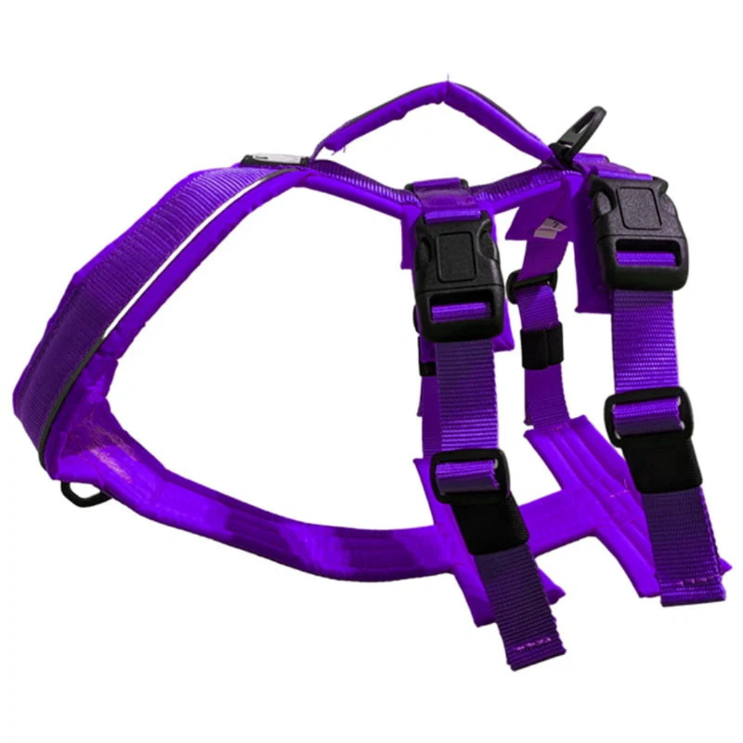LE CHIEN BLANC | Harnais Atlas mauve