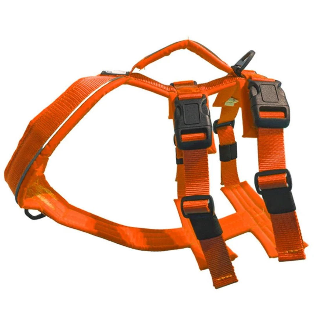 LE CHIEN BLANC | Harnais Atlas orange