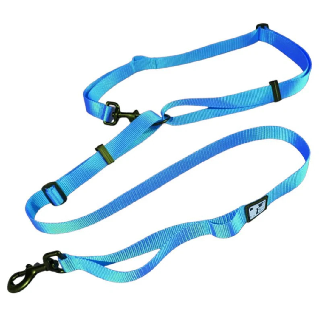 LE CHIEN BLANC | Laisse multi bleu aqua