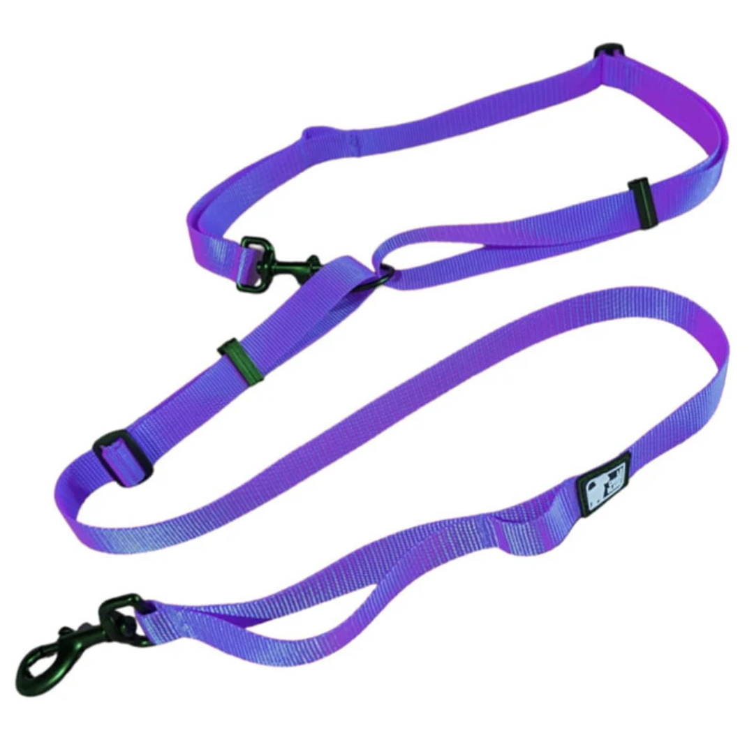 LE CHIEN BLANC | Laisse multi mauve