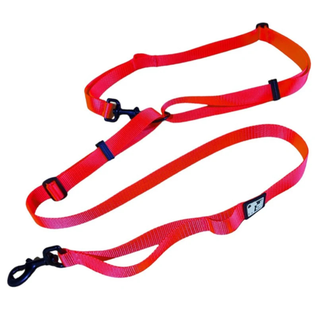LE CHIEN BLANC | Laisse multi rouge