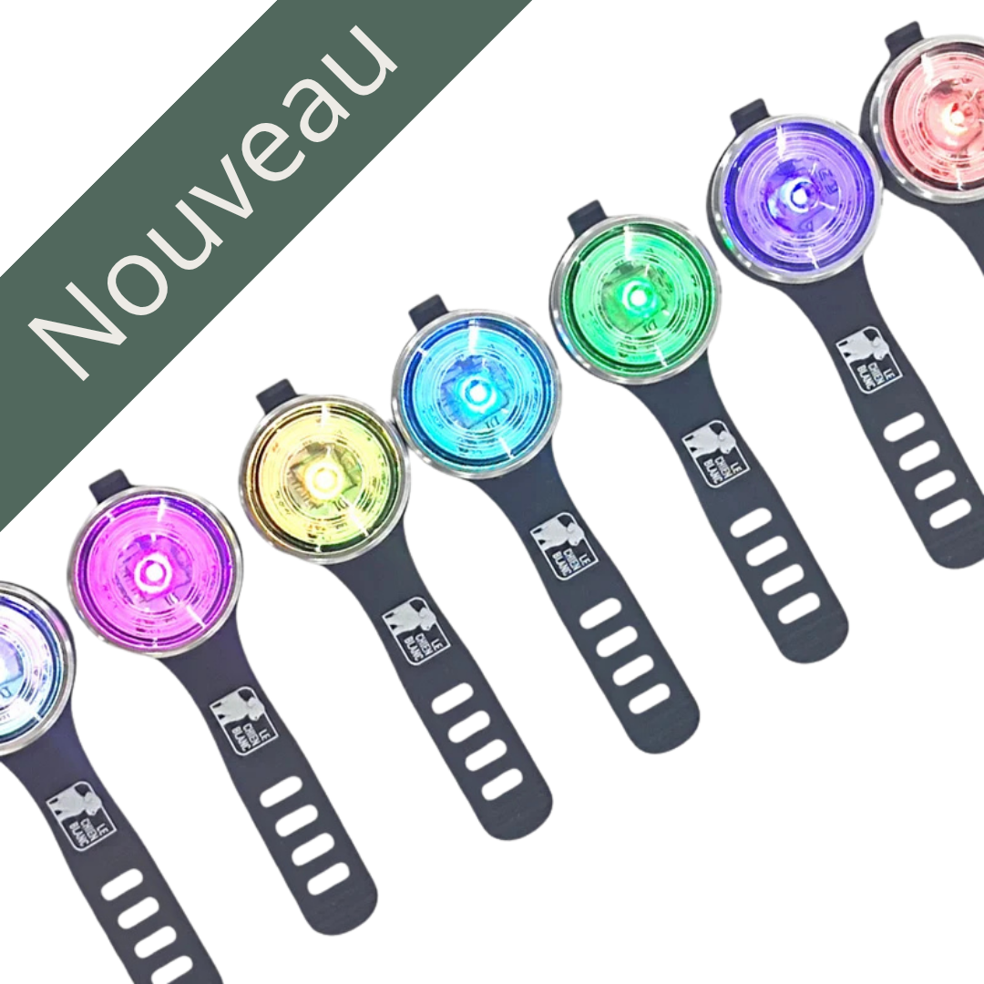 LE CHIEN BLANC | Lumière Sparkle nouveau Solution Nutrition Animale Saguenay