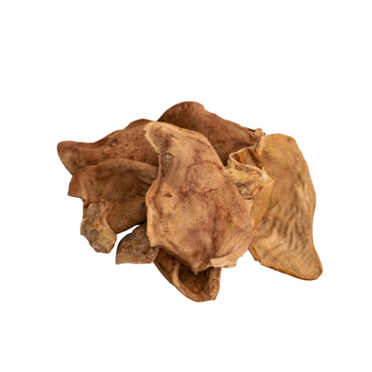Oreille de porc lyophilisé mastication chien