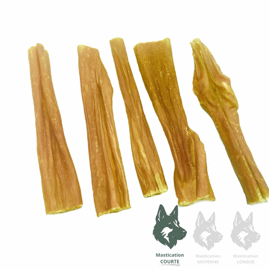 NATURE'S OWN | Bâton de vessie de boeuf 6" (5 unités) - Gâterie déshydratée pour chiens Solution Nutrition Animale Saguenay