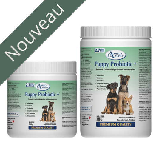 OMEGA ALPHA | Probiotique chiot plus nouveau Solution Nutrition Animale Saguenay
