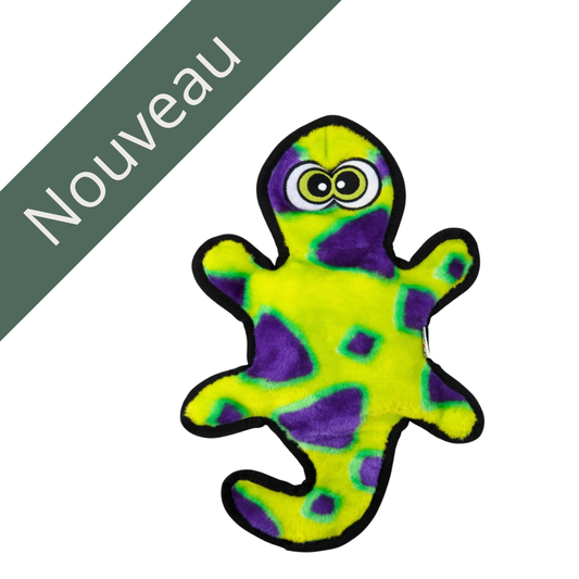 OUTWARD | Gecko durable peluche nouveau Solution Nutrition Animale Saguenay