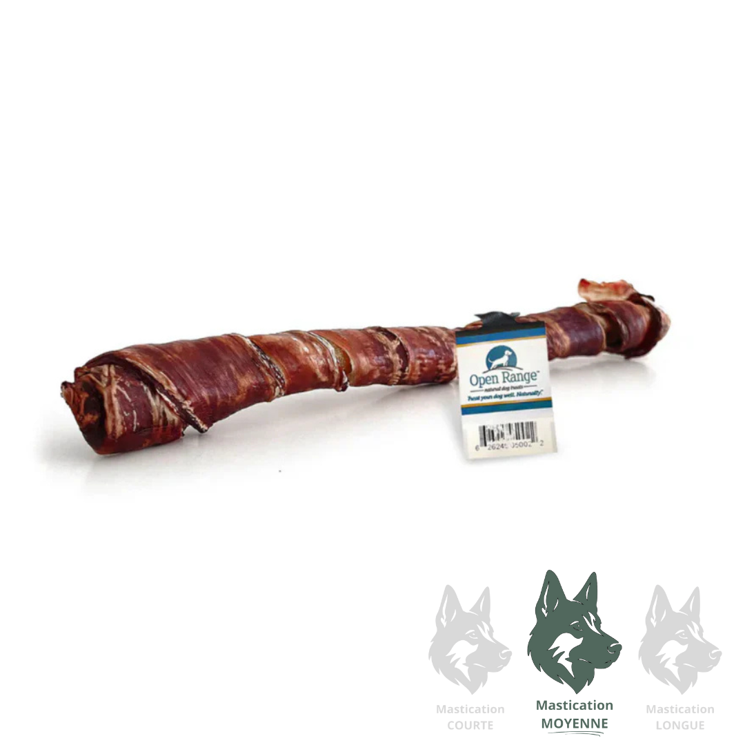 Open Range Bully chomper