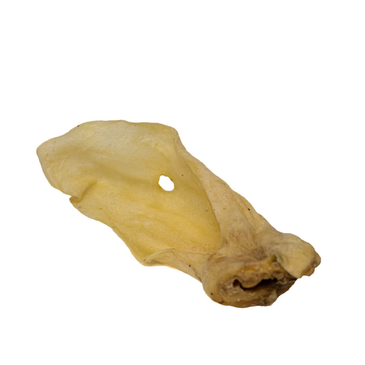 KYON | Oreille d'agneau déshydratée. Solution Nutrition Animale, votre référence en besoin nutritionnel pour chiens et chats au Québec.
