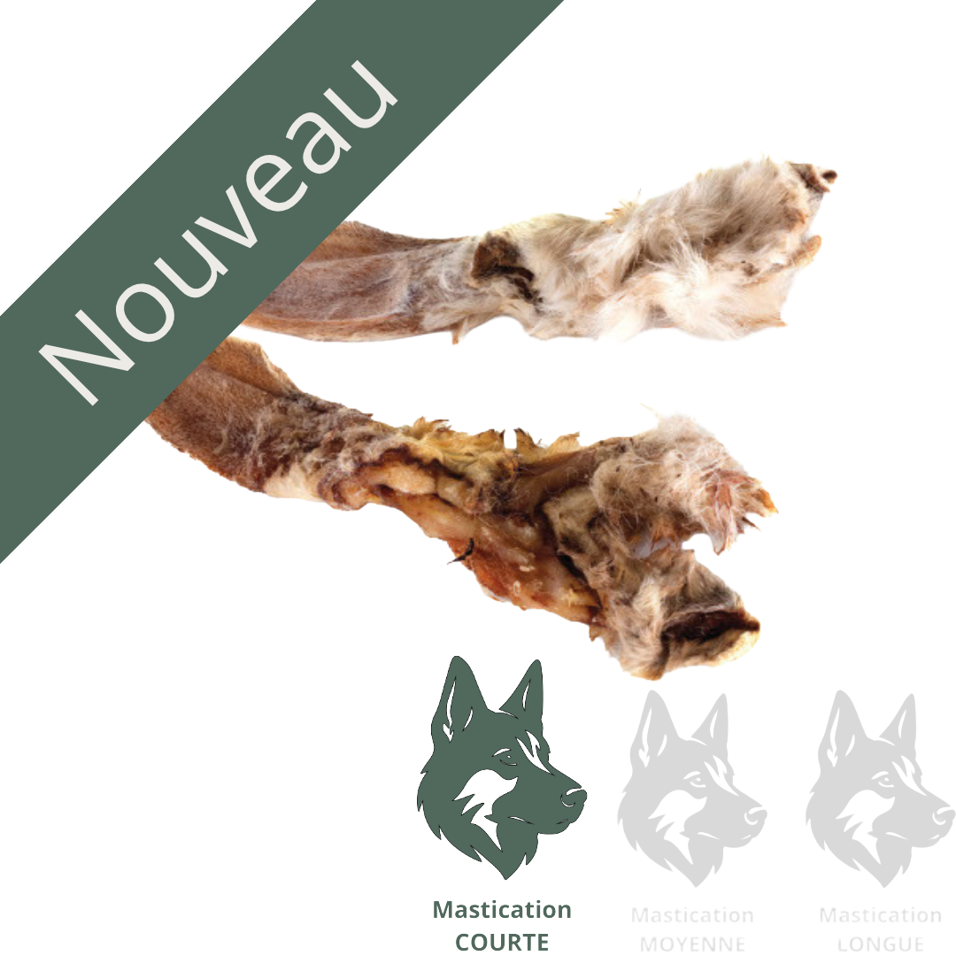 Oreille de lapin (unité) - Gâterie déshydratée nouveau Solution Nutrition Animale Saguenay