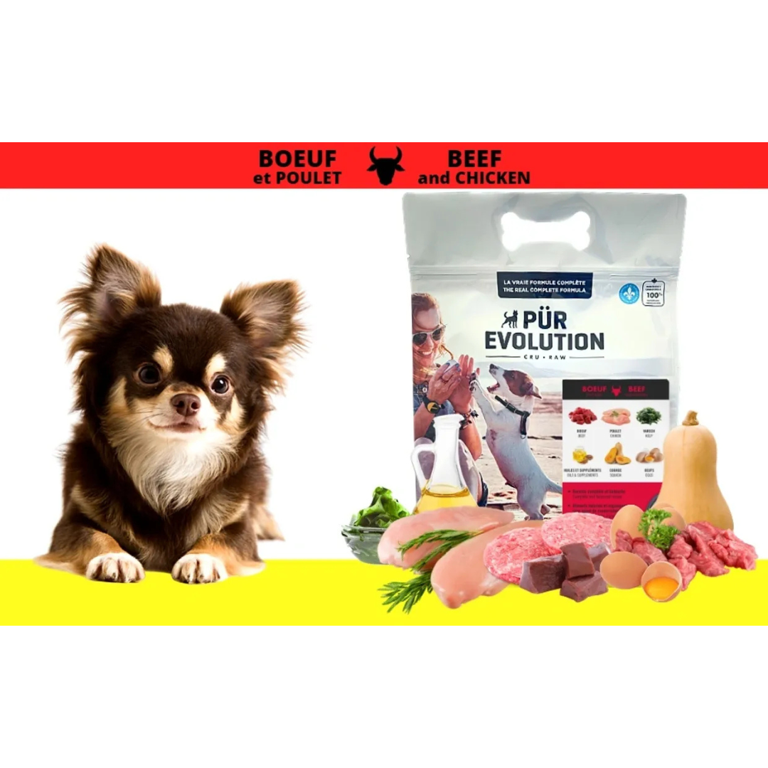 PÜR ÉVOLUTION | Boeuf & poulet 14,5 kg Solution Nutrition Animale Saguenay