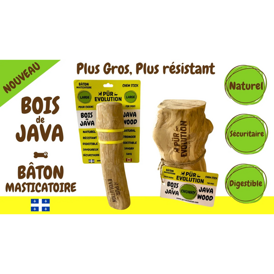 Pür Évolution bois de java. Mastication naturelle pour chien. Solution Nutrition Animale, votre référence en alimentation animale à Québec.