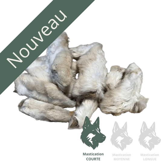 Patte de lapin (unité) - Gâterie déshydratée nouveau Solution Nutrition Animale Saguenay