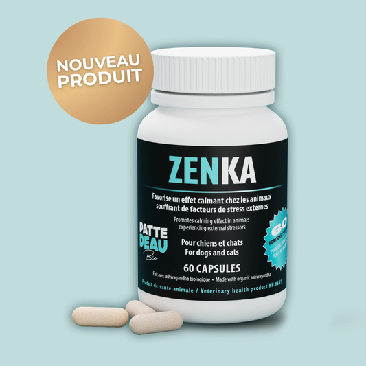 Pattedeau Bio Zenka stress et anxiete