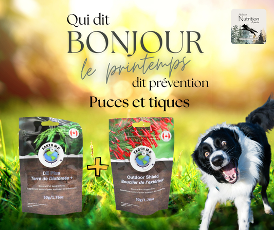 Prévention puces et tiques. Solution Nutrition Animale.