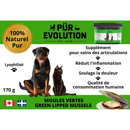 Pur Evolution moule verte articulations