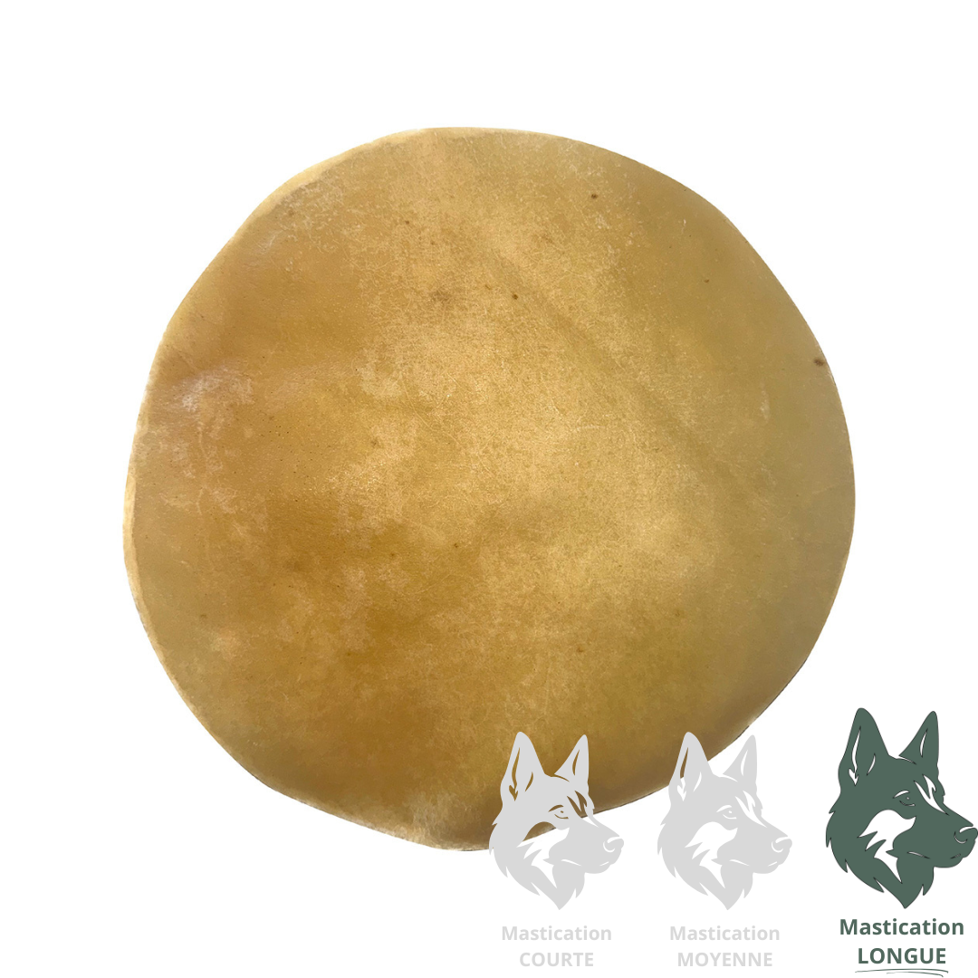 QT DOG | Disque de buffle d'eau 9"