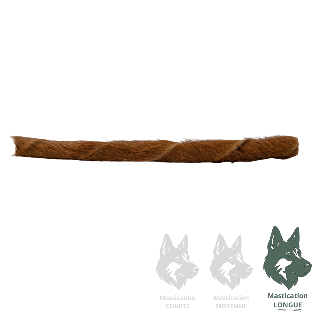 Rouleau de boeuf avec poils 10 pouces - Mastication naturelle pour chiens Solution Nutrition Animale Saguenay