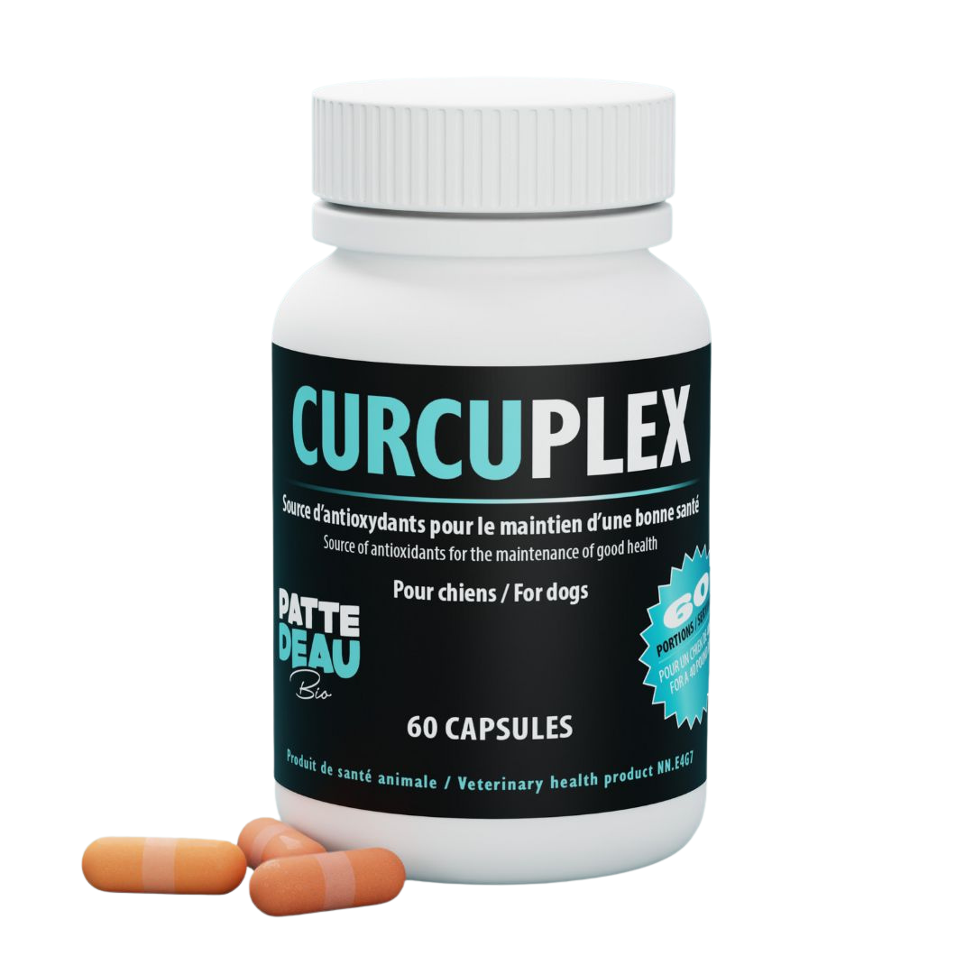 PATTEDEAU BIO | Curcuplex articulation et digestion - Supplément pour chiens et chats