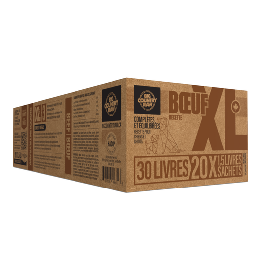 Big Country Raw XL Bœuf : nourriture crue complète pour chiens, riche en bœuf, équilibrée et nutritive, mouture XL.