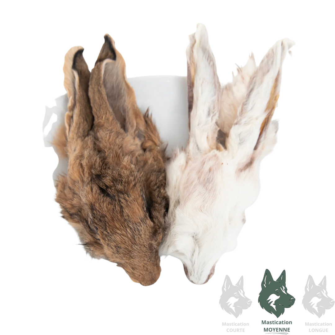 GRAND VALLEY | Tête de lapin - Gâterie lyophilisée pour chiens et chats