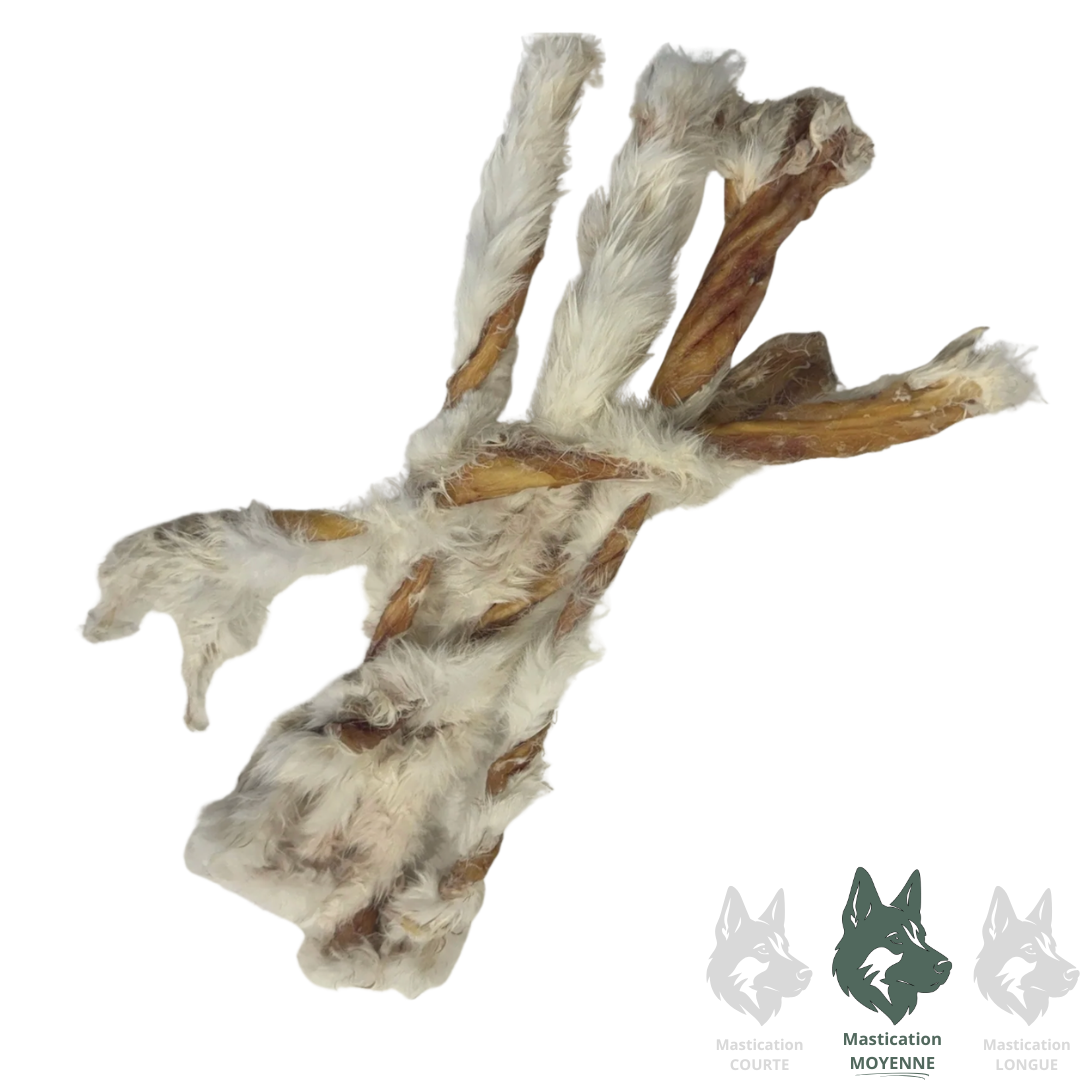 GRAND VALLEY | Torsade peau de lapin - Gâterie lyophilisée pour chiens et chats