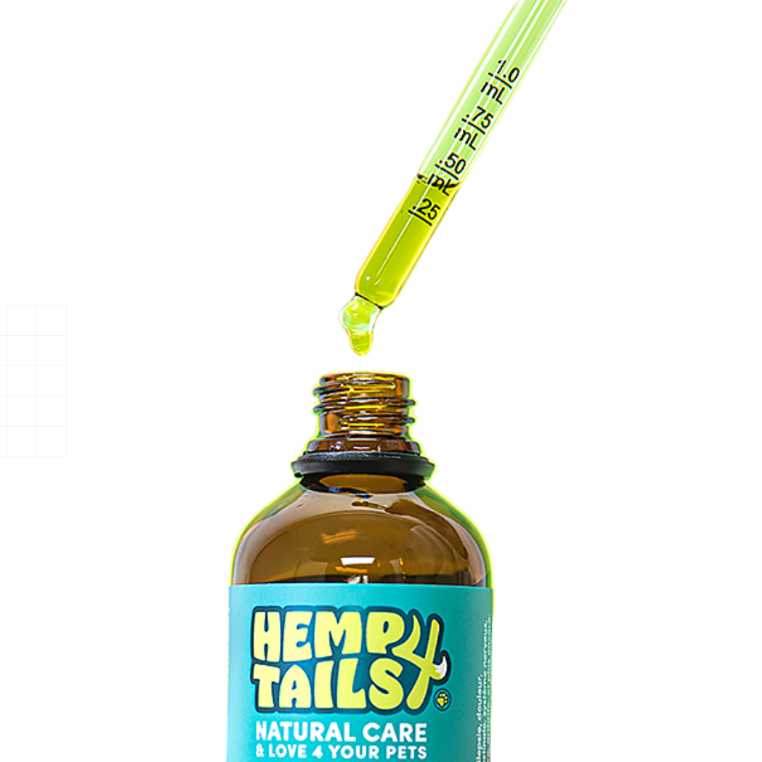 HEMP4TAILS | Huile de terpènes de chanvre