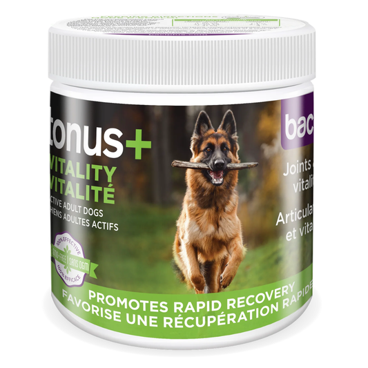 BACI+ | Tonus+ Vitalité - Supplément articulaire pour chiens