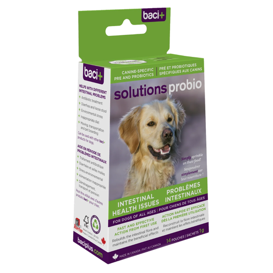 LIQUIDATION | Solutions Probio - Supplément intestinal pour chiens